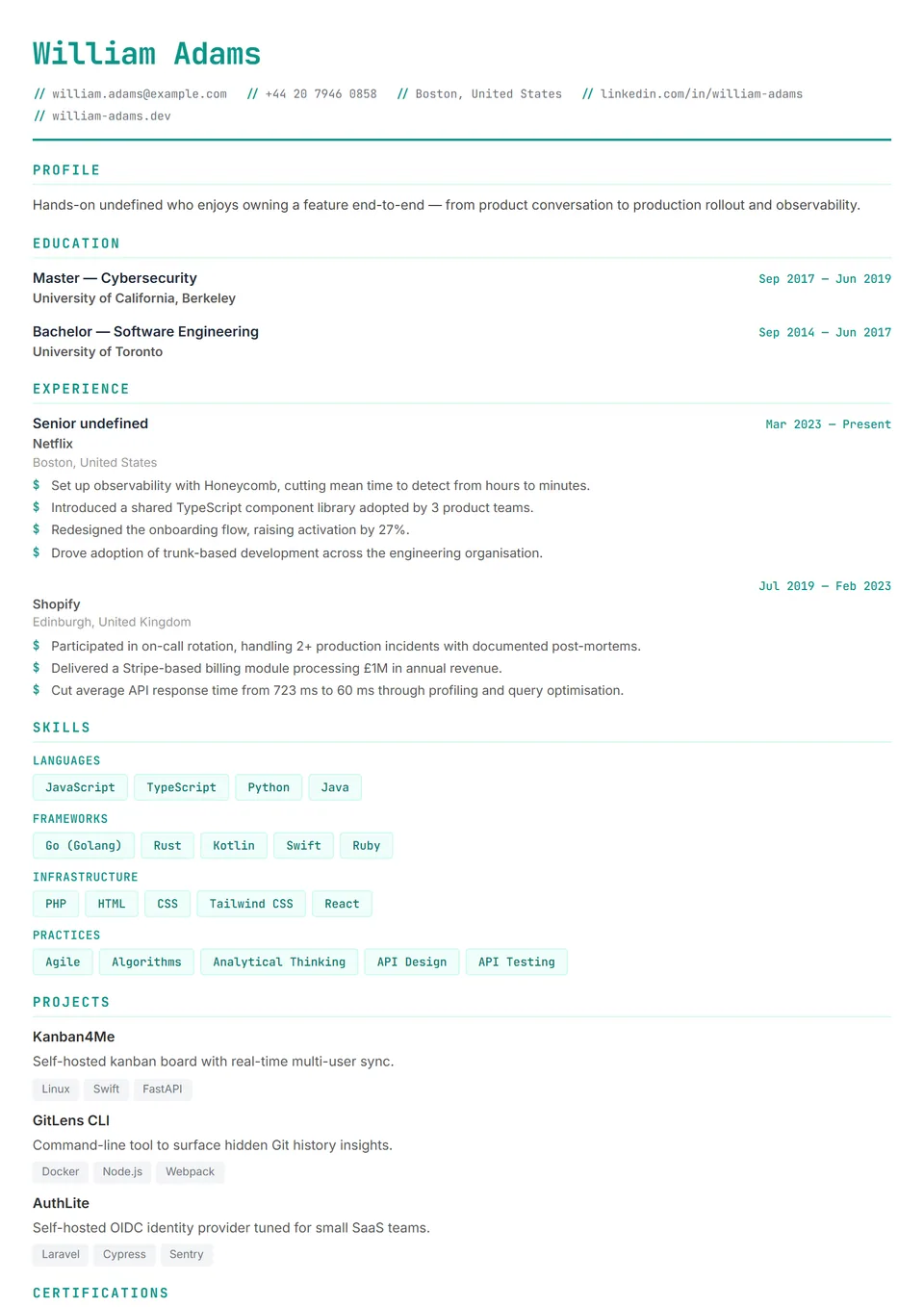 Accademico — Informatica — Modelli di CV