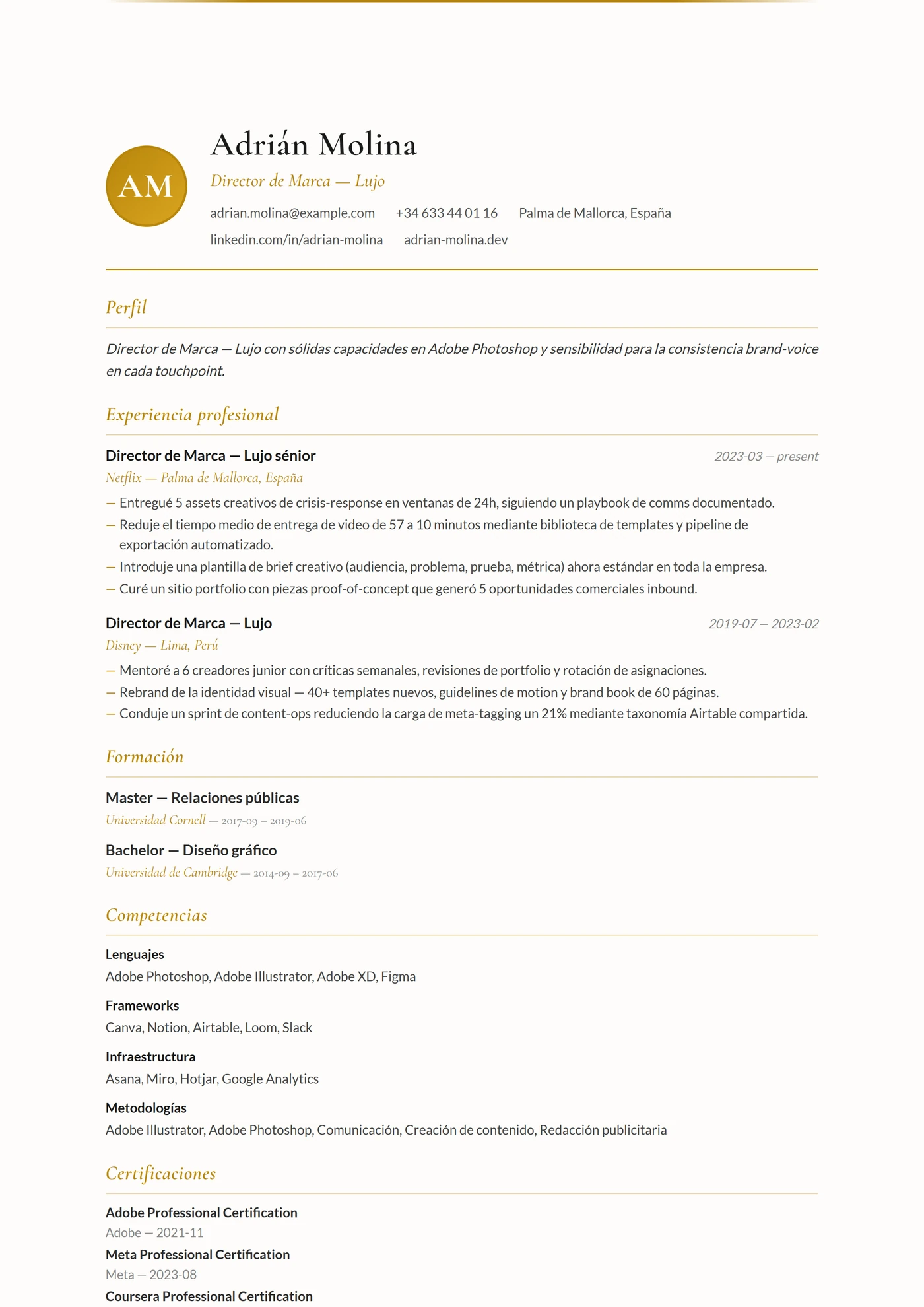 Francia Elegante — Plantillas de CV