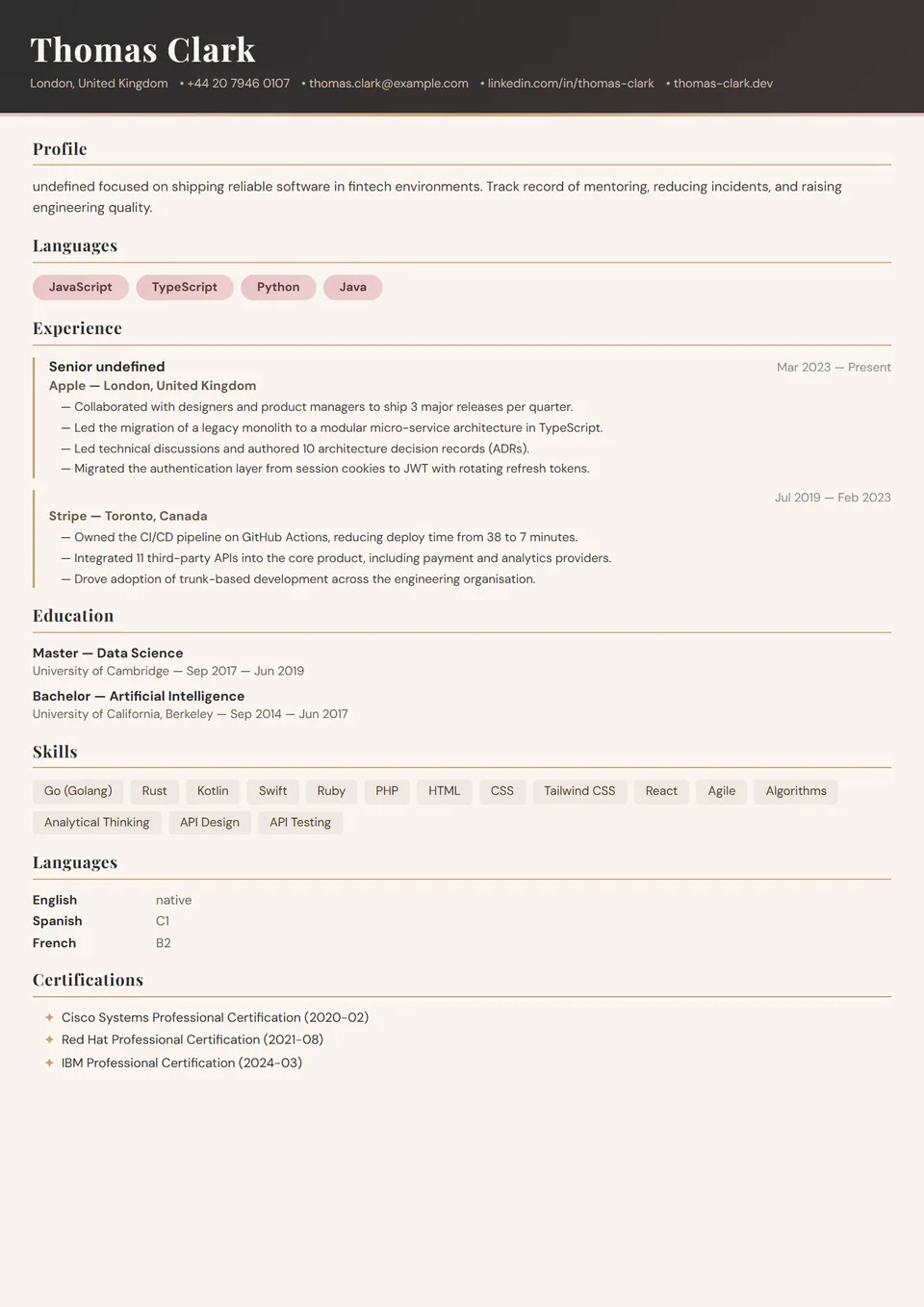 Professional — Hair Stylist — CV templates