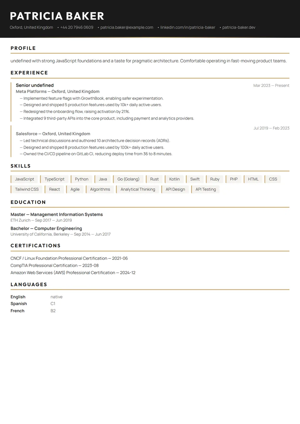 Professional — Photographer — CV templates