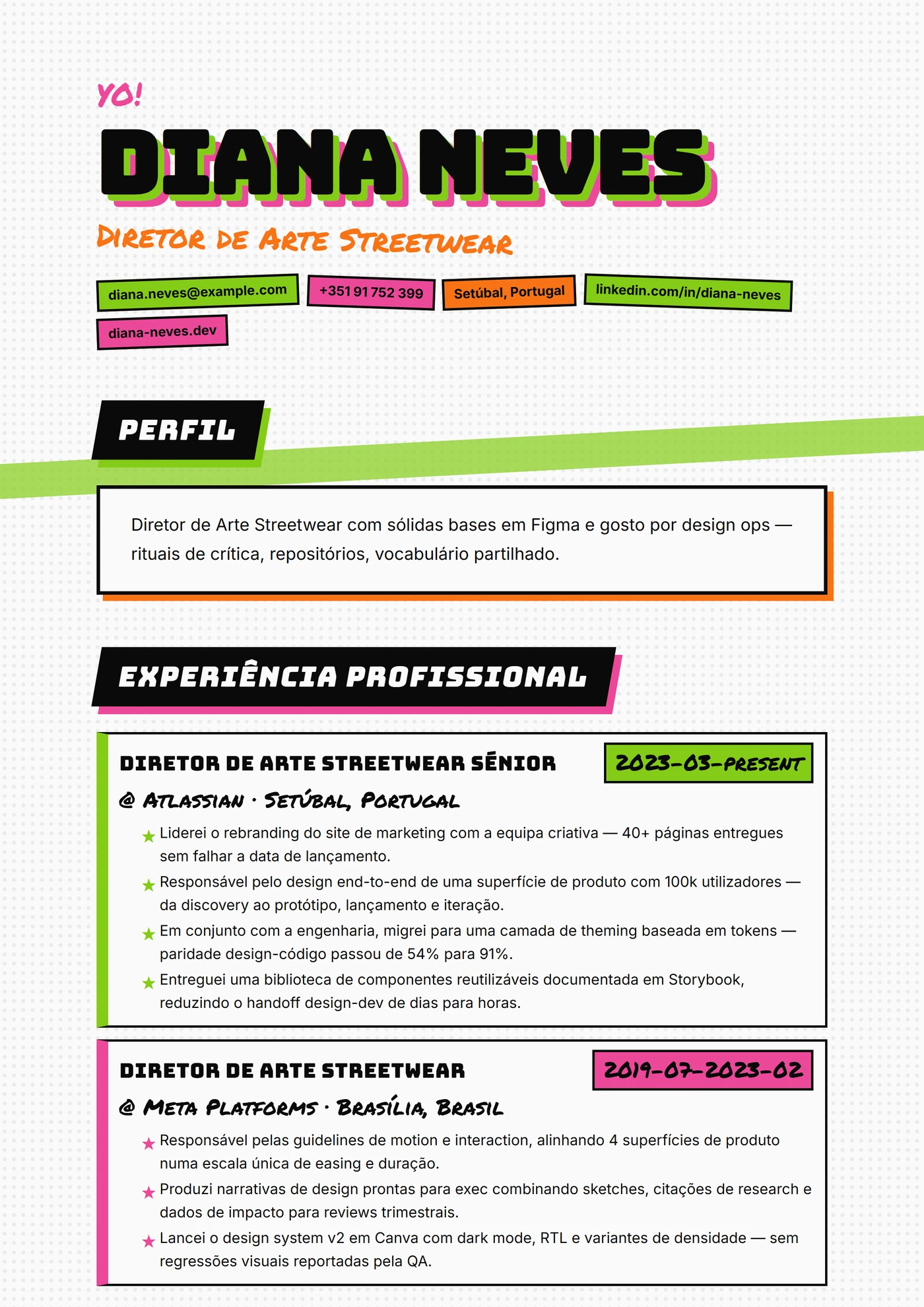 Zine Skater — Modelos de currículo